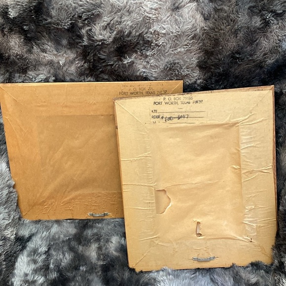 2 Miss Meka Cat Picture Paul Stagg The Bombay Company Stephanie Hoppen - Picture 16 of 16